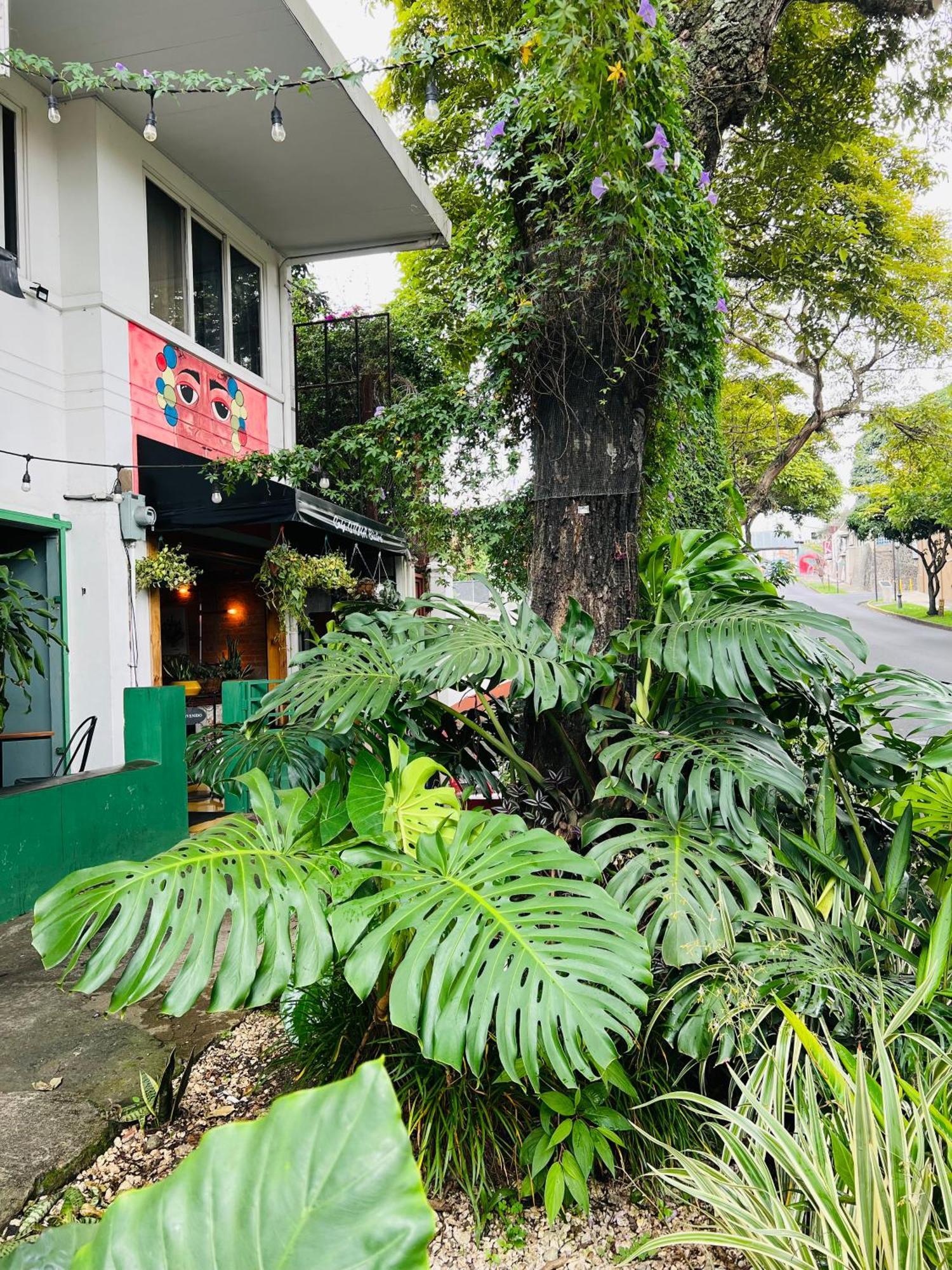 Otoya 1907 Hotel (Adults Only) San Jose  Ngoại thất bức ảnh